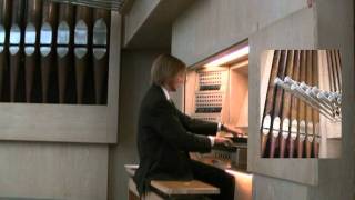 Vivaldi´s quotWinterquot for organ Arr Armin Becker [upl. by Prakash]