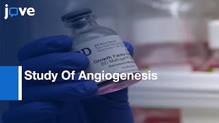 Endothelial Cell Tube Formation Assay For In Vitro Study Of Angiogenesis l Protocol Preview [upl. by Neale]