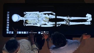 Revealed How King Tut Died [upl. by Netsoj]