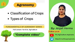 Classification of crops in Agronomy  BSc Agriculture  1st sem [upl. by Nitnilc]