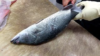 The easiest and fastest way to clean sea bass at home with a kitchen knife [upl. by Kraft38]