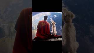 The Supermans Dog First Look  Pop Culture News Tamil dctamil dcutamil batmantamil [upl. by Aehsan]