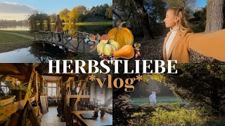 VLOG 🍂🧸💌 ein traumhafter Herbsttag  REALTALK über das Singlesein [upl. by Madai]