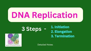 DNA ReplicationInitiationElongationTerminationProkaryotesEukaryotesSemiconservativeTelomerase [upl. by Connel]