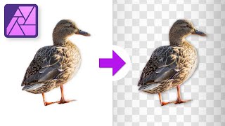 How to Remove White Backgrounds in Affinity Photo [upl. by Dominik]