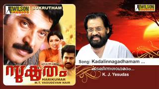 Kadalinnagadhamaam Neelimayil  Sukrutham Malayalam Audio Song  K J Yesudas  KS Chithra [upl. by Rea808]