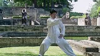 Tai Chi Lessons with Master Jian Liujun [upl. by Elisabet]