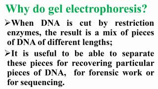 Why Do Gel Electrophoresis [upl. by Kenley]