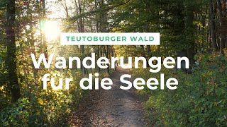 Teutoburger Wald Wanderungen für die Seele [upl. by Tolmach]