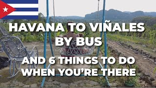 Travel from Havana to Viñales by Viazul Bus  6 Things To Do Viñales Cuba  Family Travel Vlog [upl. by Aysa802]