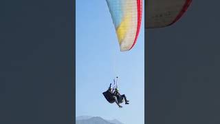 Paragliding India paraglidinglanding shortvideo [upl. by Yarled57]