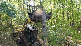 Youve never seen a FORESTRY MULCHER LIKE THIS Mulcher and Grapple in one [upl. by Otila157]