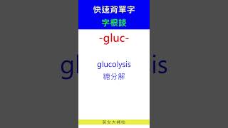 快速背單字字根談gluc [upl. by Marcello]