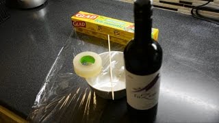 Fruit Fly Trap Best  Red WineFruit Slices [upl. by Nnahaid]