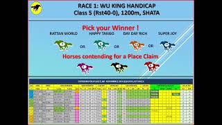 Horse Racing Tips For Hong Kong 香港沙田賽馬貼士 [upl. by Nuawed]