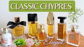 Classic and Modern Chypre Perfumes  Elegant Sophisticated Timeless [upl. by Ahsiyn]