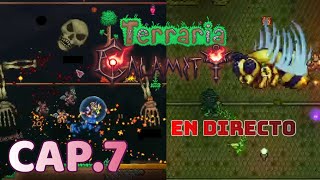 La BUILD de INVOCADOR esta ROTA  Terraria Calamity Mod  Capítulo 7 Stream resubido [upl. by Gaskill]