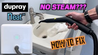 Dupray NEAT Steam Cleaner  NO STEAM or SPRAY Solved [upl. by Silbahc]