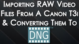 Importing RAW Files From Canon T3i600d amp Converting Them To DNG  Tutorial [upl. by Gillan]