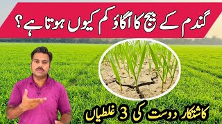 Factors affecting wheat seed germination  Germination issue in wheat sowing  Abid Ali Agrarian [upl. by Aisila407]