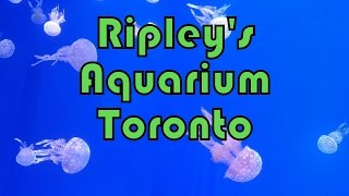 Detailed Tour of Ripleys Aquarium of Canada Toronto [upl. by Teressa765]