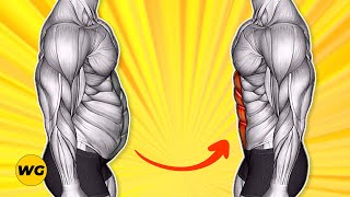 TOP 8 Exercises For A Flat Stomach For Men Get A Flat Stomach At Home [upl. by Iosep328]