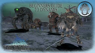 FFXI Beginners guide to Dynamis [upl. by Messab292]