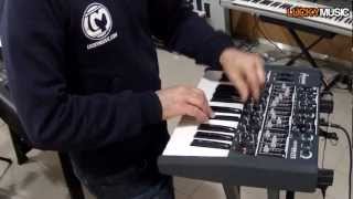 Arturia MINIBRUTE Sintetizzatore Analogico REVIEW  Lucky Music Network [upl. by Cavanagh796]