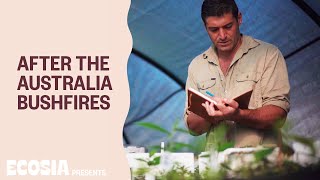 Reforesting Australia’s rainforest after the 2020 bushfires [upl. by Cooperstein918]