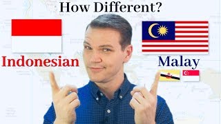 How Different Are Indonesian and Malay [upl. by Nodnahs49]