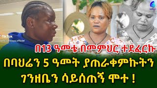 ዝንጅብል የሚል ነጠላ ዜማ ለማዳም ቅመሞች ሠርቻለውህይወት ያስተማረችኝን ብዙ ነውEthiopia  Sheger info Meseret Bezu [upl. by Akeimat]