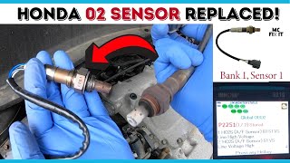 How to Replace O2 Sensor P2251  Bank 1 Sensor 1 on Honda Ridgeline 2006  2015 1st Generation [upl. by Ahtanamas]