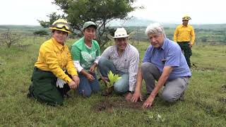 Cuitláhuac García cierra sexenio con más de 11 millones de árboles sembrados [upl. by Leciram]