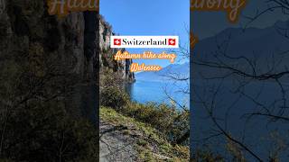 GORGEOUS Autumn Hike along Walensee in Switzerland 🇨🇭 shorts hiking switzerland [upl. by Drusilla]