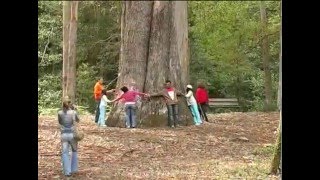 Souto da Retorta  Eucaliptal de Chavín Viveiro  Lugo [upl. by Kristopher]