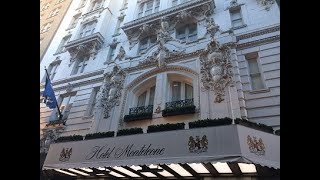 NEW ORLEANS HOTEL MONTELEONE JUNE 2020 [upl. by Kcired]