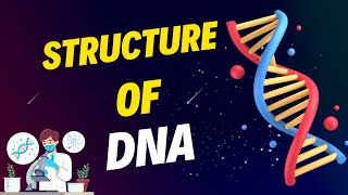 Structure of DNA deoxyribonucleic acid  Nucleotide structure  Composition of DNA [upl. by Earased]