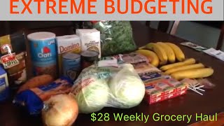 How to live on 2 a day GROCERY HAUL [upl. by Gerard]