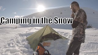 Winter Camping  Tarp bivy and dog [upl. by Prudence]