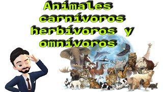 Animales carnívoros herbívoros y omnívoros [upl. by Kress]