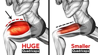 Best Exercises Quadriceps To Get Wide Leg Workout [upl. by Sevart926]