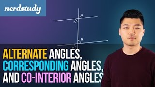 Alternate Angles Corresponding Angles Cointerior Angles  Nerdstudy [upl. by Ahsinam739]