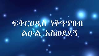 Fikeraddis Nekatibeb Leul Aswededgne ፍቅርአዲስ ነቃጥበብ ልዑል አስወደደኝ Lyrics Video [upl. by Gherlein]