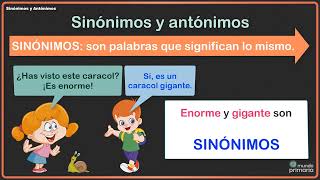 Sinónimos y antónimos [upl. by Ahcim]