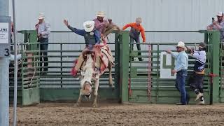 Kremmling Colorado Middle Park Fair and Rodeo Cowboys Bronc Riding [upl. by Arica]