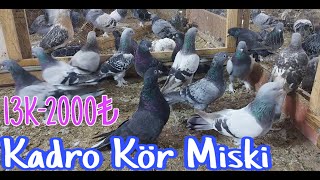 Kadro Kör Miski [upl. by Sherj]