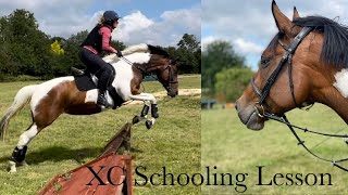 Bramfield XC Schooling  Mum takes back the jumping reins [upl. by Grissom420]