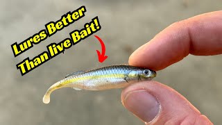 These Minnow Lures Are Better Than Live Bait [upl. by Karin]