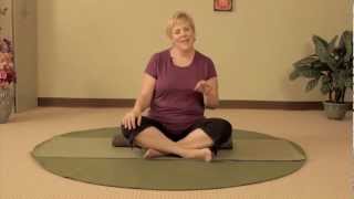 Coming Back from Back Surgery  Gentle Yoga Back Stretches for Every Body [upl. by Feliza]