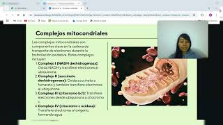 Tarea 4  Metabolismo Ambolismo y Catabolismo  Ejercicio 2 [upl. by Siskind]